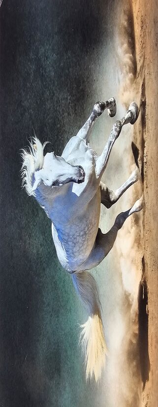 Divpusēja šalle "Balts zirgs" /70x180cm